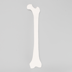 Best Orthopedic Workshop Bone Models For Surgical Skills Education Training