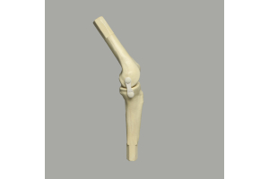 Improving Orthopedic Learning with Advanced Knee Models