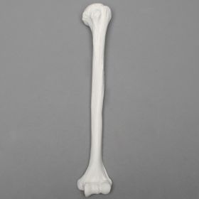 Humerus, 9.5mm Canal, Plastic Cortical Shell 