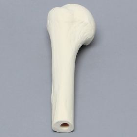 Humerus, Foam Cortical, Proximal