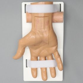 Hand and Wrist for Carpal Tunnel Training