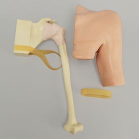 Arthroscopy Shoulder, Simulator for SCR