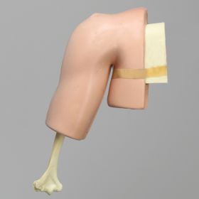 Arthroscopy Shoulder Simulator