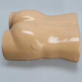 Torso for SI Procedures