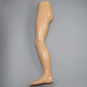 Leg, Soft Tissue, Fully Encased