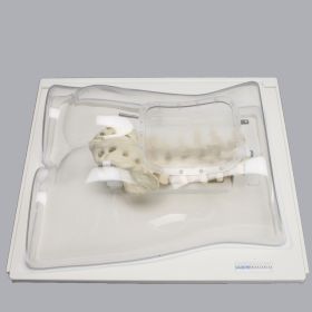 Lumbar Holder, L1-Sacrum, Clear Shell Torso 