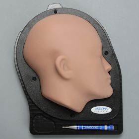 Standard Cranial Access Model