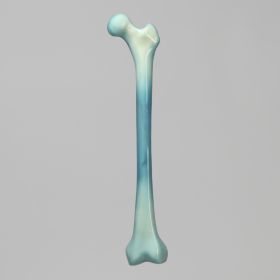 Femur, absolute™ Osteo, 10 PCF Solid Foam with 16 mm Canal, Medium