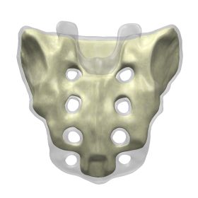 Sacrum, 4th generation, Scan of #3405-2