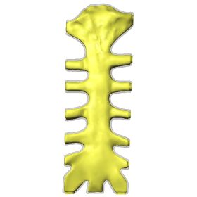 Sternum, Scan of #1025-40