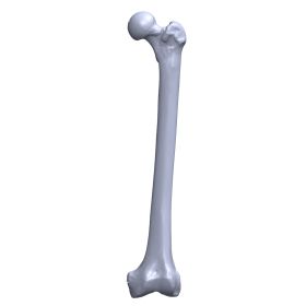 Femur with Canal, Scan of #1106