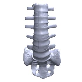 Lumbar Spine L1-Sacrum, Scan of #1352