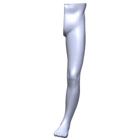 Leg, Full Hip to Toe, Scan of #1515-7