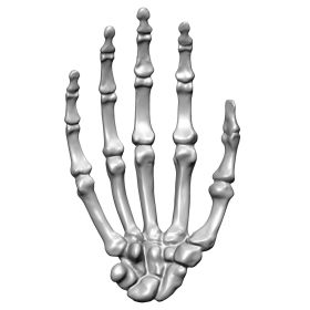 Hand, Scan of #1016-20