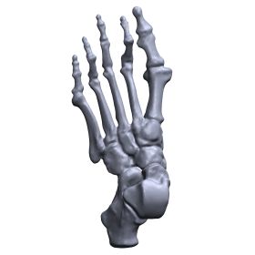 Foot, Scan of #1140