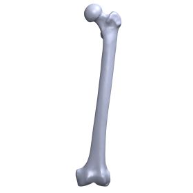 Femur, Scan of #1130