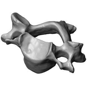 Cervical Vertebra C3, Scan of #1377-40-3