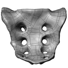 Sacrum, Scan of #1298