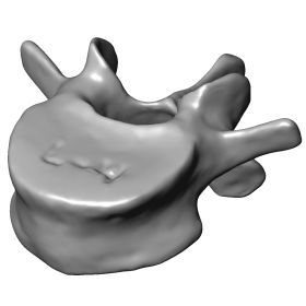 Lumbar Vertebra L4, Scan of #1375-40-4