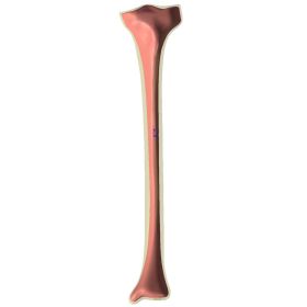 Tibia, Scan of #3402