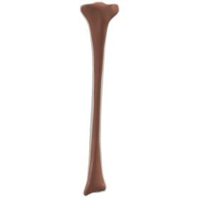 Tibia, Scan of #3410