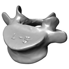 Lumbar Vertebra L5, Scan of #1375-40-5