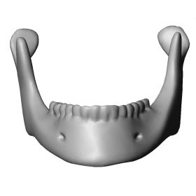 Mandible, Scan of #1337-1