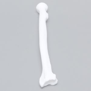 Radius, Solid White Plastic, Left