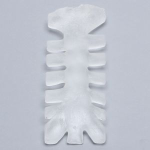 Sternum, Solid Clear Plastic