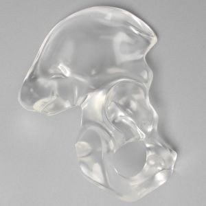 Hemi Pelvis, Male, Solid Clear Plastic, Right