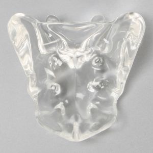 Sacrum, Solid Clear Plastic