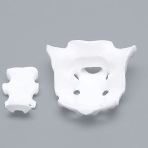 Sacrum, Two Piece Construction, Solid White Plastic