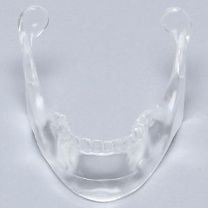 Mandible with Teeth, Solid Clear Plastic