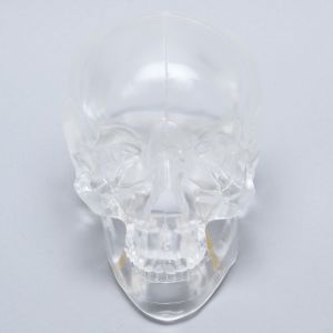 Skull, Full, Articulated, Solid Clear Plastic