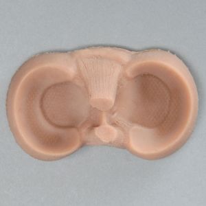 Meniscal Puck with Wide Rim, Tan