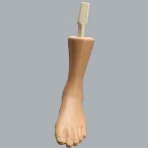 Able Advanced Arthroscopy Ankle