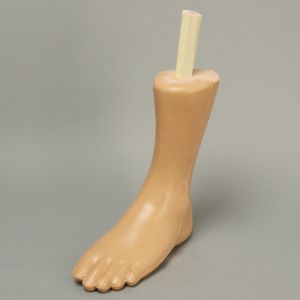 Archie Advanced Arthroscopy Ankle