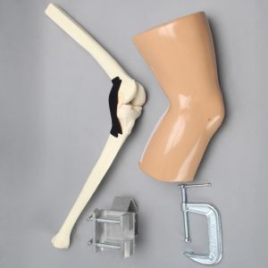 ACL Knee Trainer, Medium