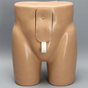 Lumbar Vertebrae Soft Tissue Trunk with Window