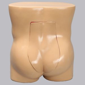 Vertebroplasty Trunk, Short