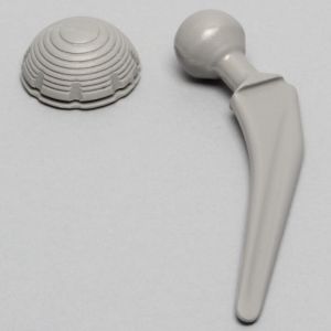 Hip Implant Replica, Two Piece Set