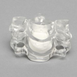 Cervical Vertebrae C5-C6, Solid Clear Plastic