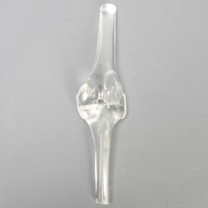 Knee Joint without Patella, Solid Clear Plastic