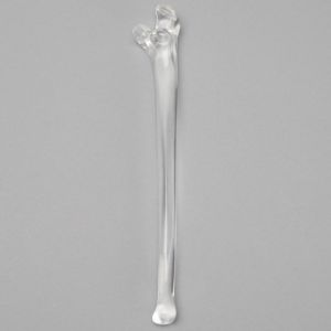 Ulna without Canal, Solid Clear Plastic