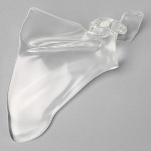 Scapula, Solid Clear Plastic