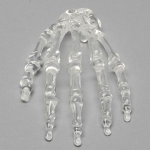 Hand, Solid Clear Plastic