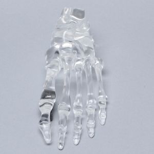 Foot, Solid Clear Plastic