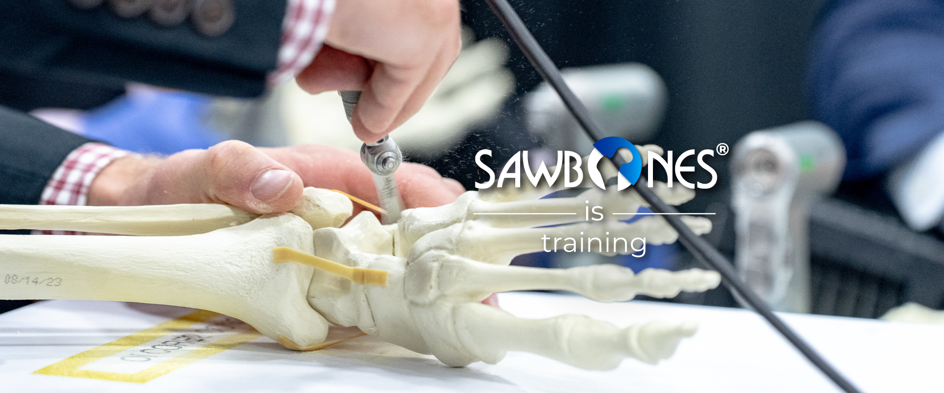 Best Anatomical Medical Training Models Company | Sawbones