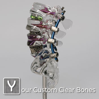 Y is for Your Custom Clear Bones